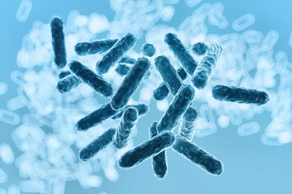 Microbiomes, Mitochondria, and Gut Health